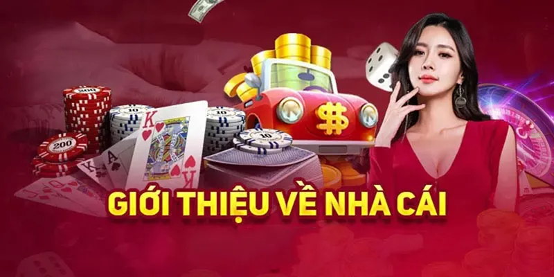 Giới thiệu WW88 Các trò chơi cá cược đa dạng và hấp dẫn
