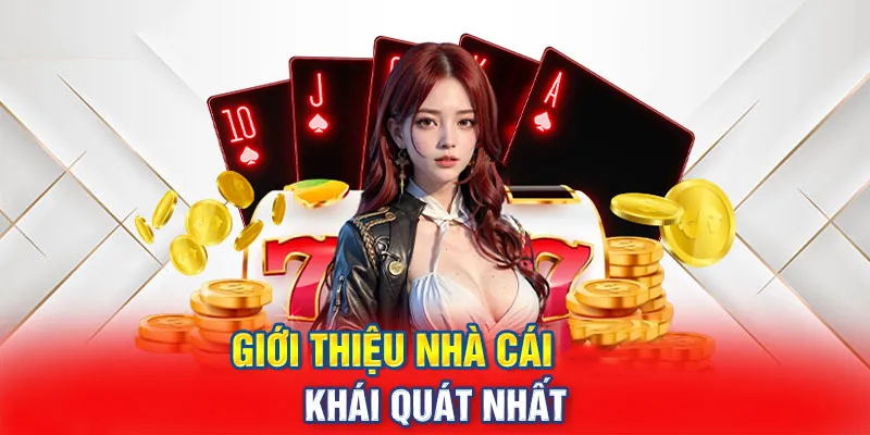 Giới thiệu WW88 Nhà cái có nền tảng vững chắc